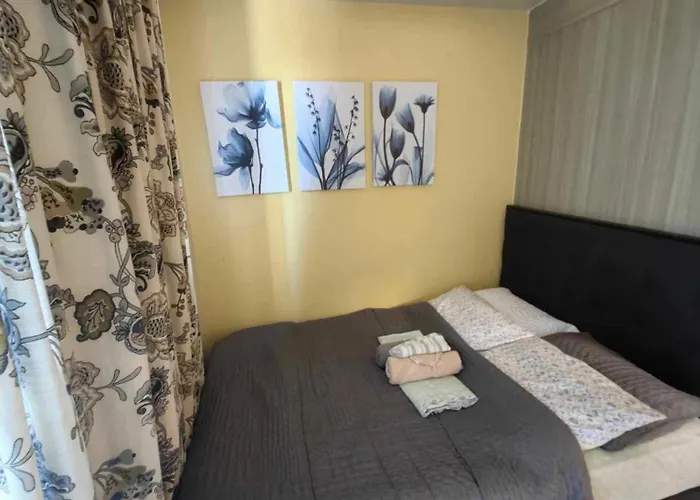 Apartment Near Moa, Naia, Picc, & Ccp That Is Comfy With A View! *